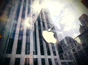 手机里的比特币APP正规吗？揭秘背后的真面目与避坑指南
