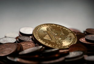 鸥亿钱包转账，安全便捷的数字资金流转新选择