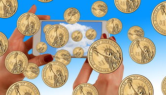 波币钱包转账到欧义入口的可行性分析