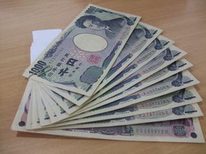 如何将ADA币转入欧易一入口钱包