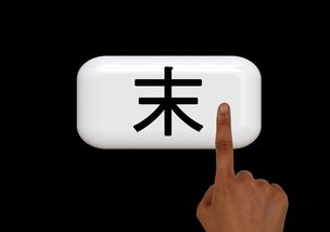 欧义app入口钱包的含义解析