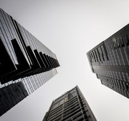意欧交易所股东构成比例深度解析，资本架构与战略布局