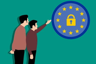 在欧逸平台交易犯法吗？全面解析平台合规性与潜在法律风险