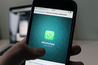 年轻人聊web3风口，别被欧逸这类违规下载APP坑害