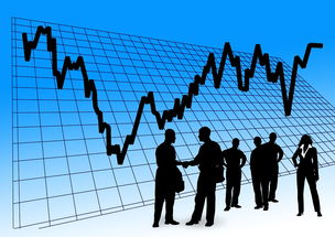 欧e交易所背后投资方是谁？信息梳理与风险提示