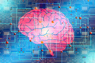 算力、熵增与数字演化，比特币究竟是一种生命体吗？