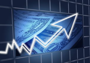 关于欧e交易所钱包地址，合规警示与风险提醒