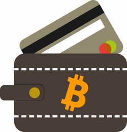 欧义入口钱包支持哪些网络
