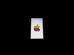 意欧交易所苹果app下载全攻略，安全通道与使用指南