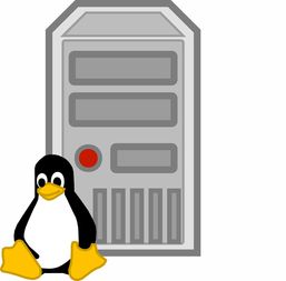 Linux服务器闲置利用，可挖的OYI币种入门全解析
