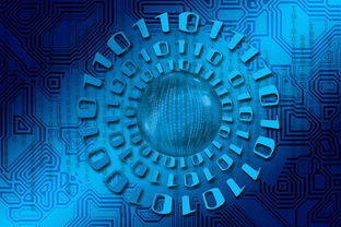 掘金未来，2024年区块链投资App深度指南与实战策略