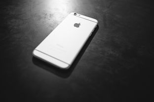 oyi官网入口钱包号是什么如何安全查询与使用