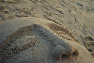 有一种沙子，它叫沙币