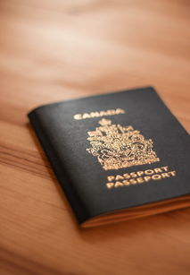 欧亿钱包官方下载地址全解析，如何安全获取并开启您的数字支付之旅