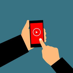 关于欧逸Web3 APP，下载与网络费用支付的风险提示