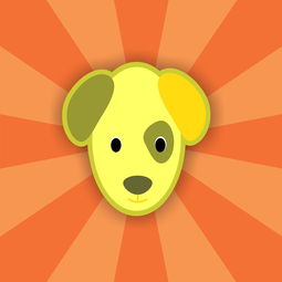 欧易app怎么把狗狗币提现到tp钱包详细操作指南