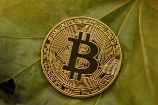 深度解析十月钱币行情走势图表，机遇与挑战并存的市场博弈