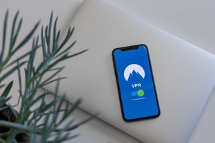 手机购买比特币安全指南如何正确下载与交易