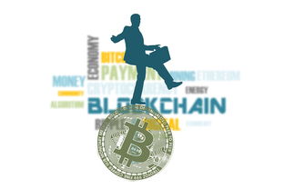 理财产品按OYI币种分类，逻辑、品类与投资提示
