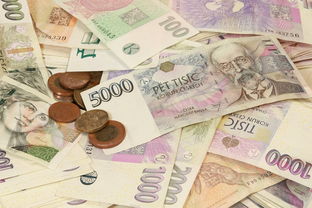 论币行情分析最新消息，2024年下半年加密市场走势梳理与机会提示
