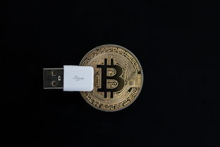 oyi官网入口钱包详细使用方法与安全指南