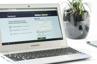 欧逸交易所注册情况深度解析，现状、流程与用户反馈