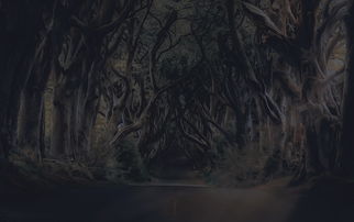 鹰影掠过时光，一枚银币背后的历史与文明