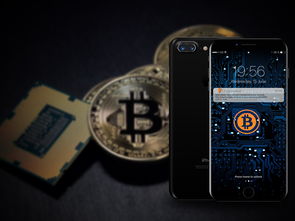 oyi官网入口钱包下载ios怎么下载完整教程