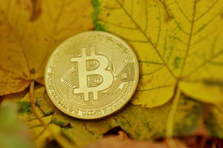 关于OYI币种精度的疑问及加密货币投资风险提示