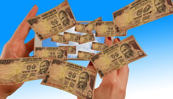 警惕OYI币种协议，陌生加密货币协议背后可能暗藏风险
