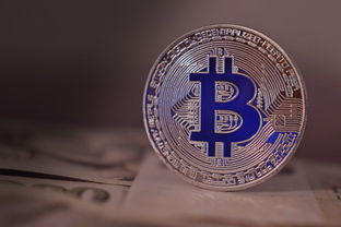 比特币BTC总发行量 流通量及当前数量全解析