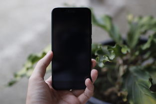 艺欧钱包app下载安装手机版最新