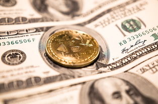 比特币与BTC基本面详细对比分析