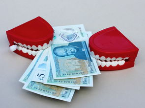 tp钱包提币到欧义 入口