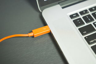 欧一可以连接钱包吗 完整使用指南与注意事项